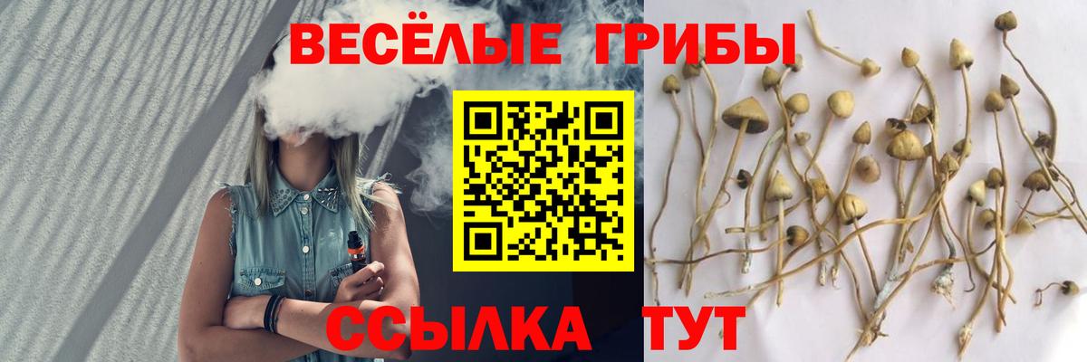 Галлюциногенные грибы мухоморы Омск