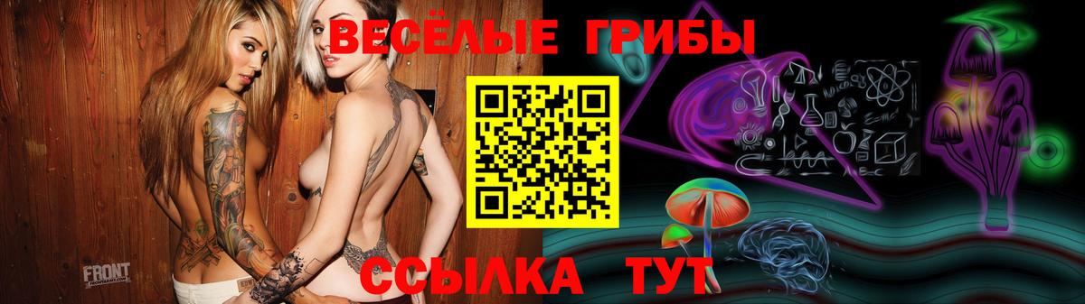 Омск  Псилоцибиновые грибы MAGIC MUSHROOMS  Вход с VPN  Галлюциногенные грибы Magic Shrooms 