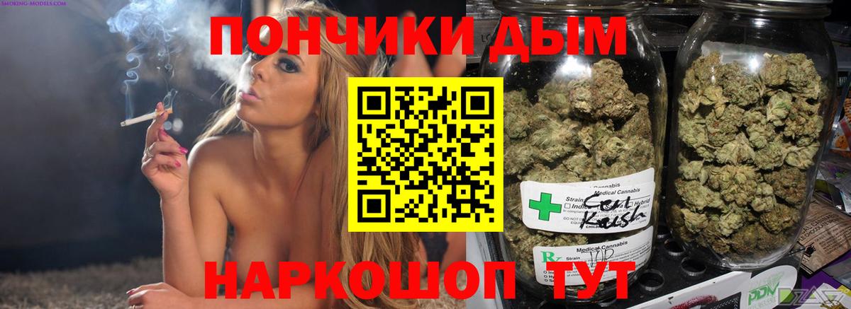 Бошки марихуана конопля  Бошки Шишки ГИДРОПОН  Омск  Вход с VPN  Канабис конопля 